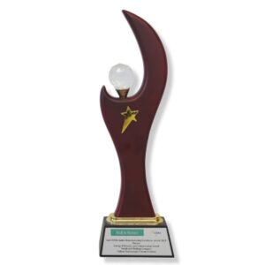 VDMA India Manufacturing Excellence Award 2019